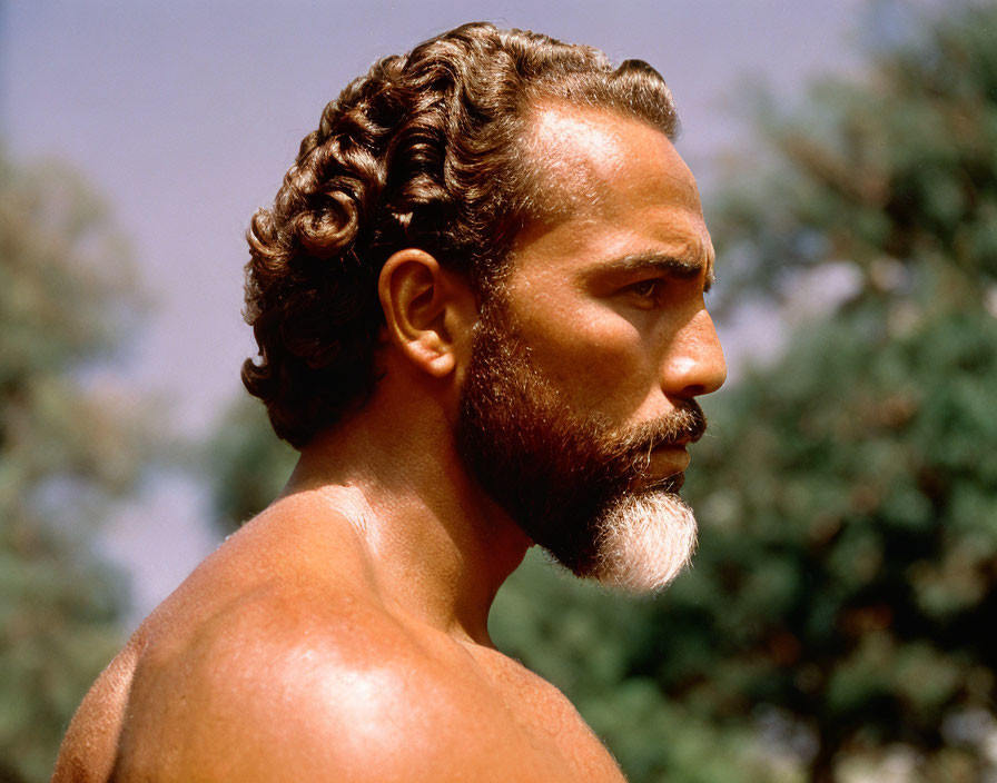 Man with Curly Hair and Two-Toned Beard Outdoors with Trees