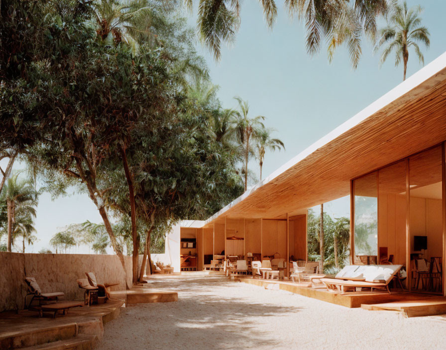 Modern outdoor living space with wooden furniture, glass windows, palm trees, sandy floor.