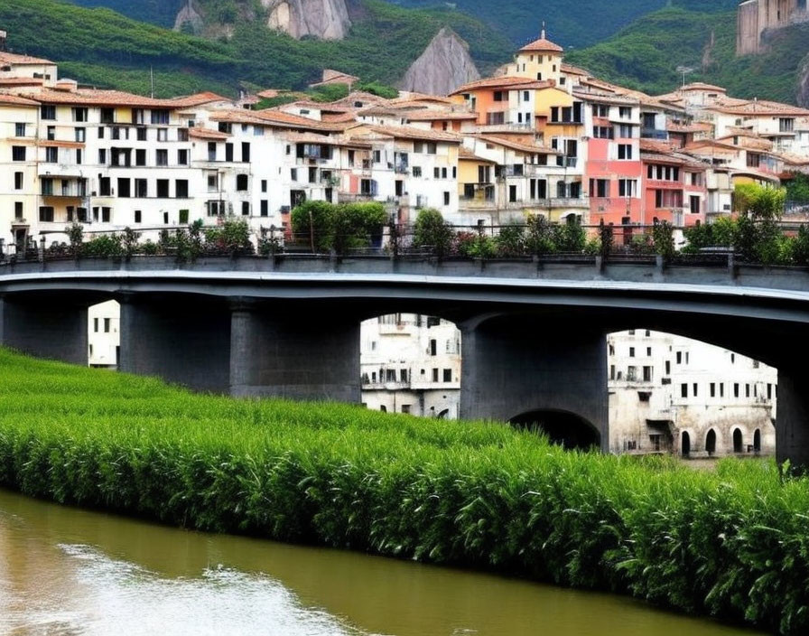 River bridge surrounded by greenery and European-style buildings against hilly backdrop