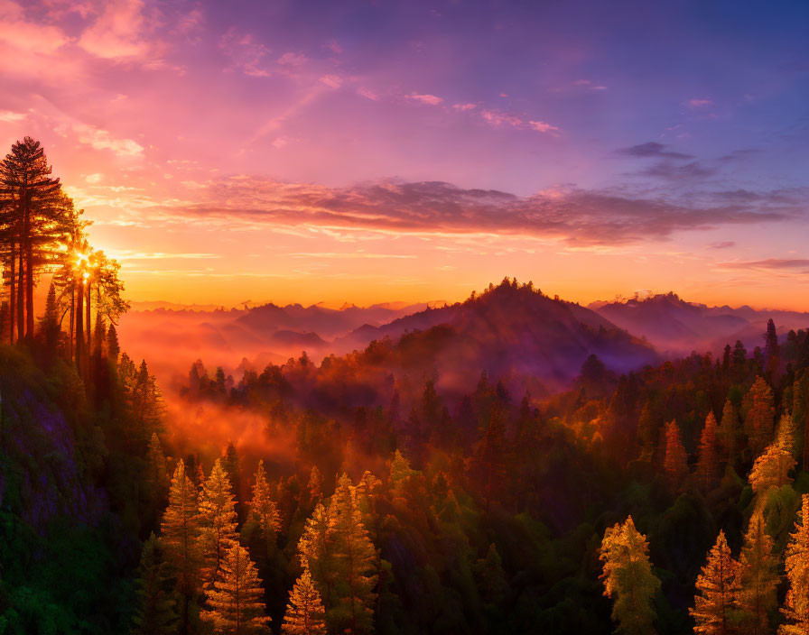 Vibrant sunrise over misty forest with colorful sky and sunlight on rolling hills