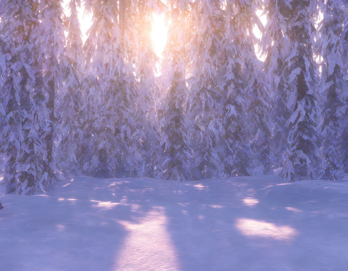 Winter forest scene: Sunlight through snow-covered pine trees.