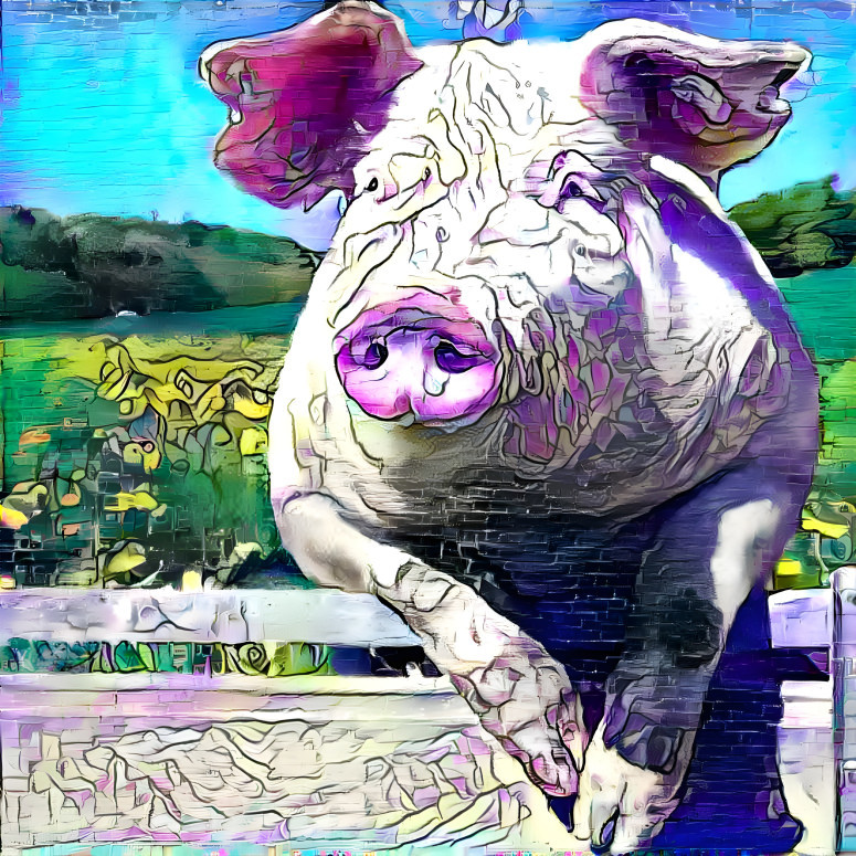 DREAM PIG