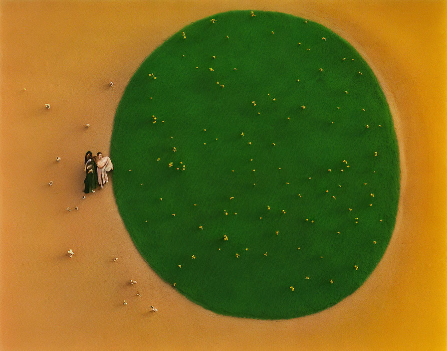 Two individuals on the edge of a green circle in a sandy landscape with flowers and sheep.