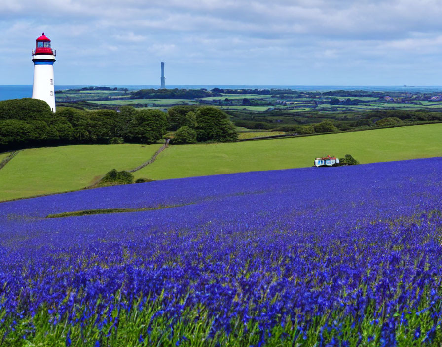 Scenic landscape with purple flowers and white lighthouse