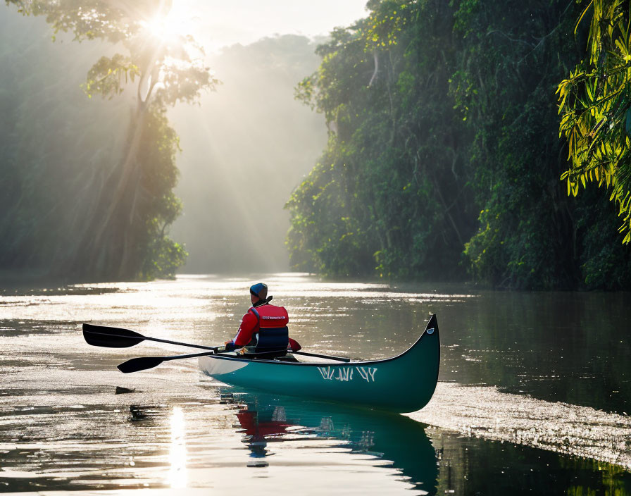 Tranquil river canoeing through lush greenery and sun rays.