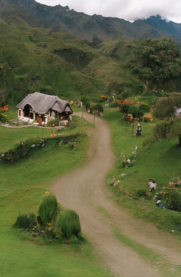 Scenic dirt road through hilly landscape with cottage and orange flowers