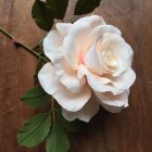 Detailed hyper-realistic painting of white rose with buds, leaves, and ornate knife.