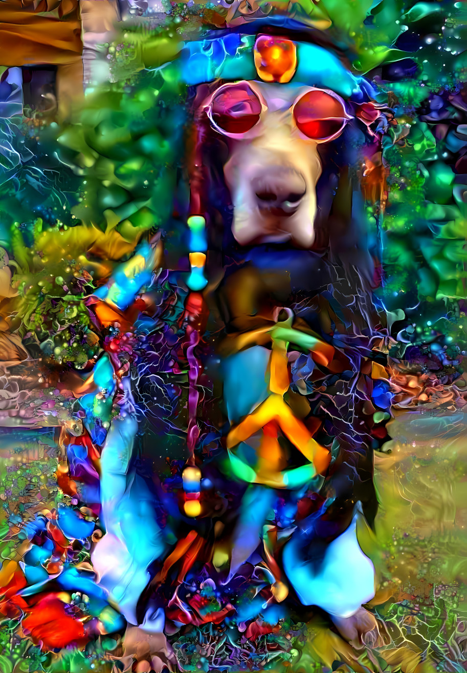 Hippie Weimaraner