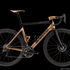 Black and Gold Custom Painted Road Bike with Carbon Fiber Frame and Deep-Dish Wheels