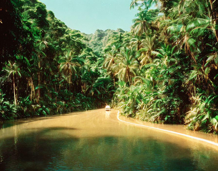 Tranquil river in lush tropical forest with boat