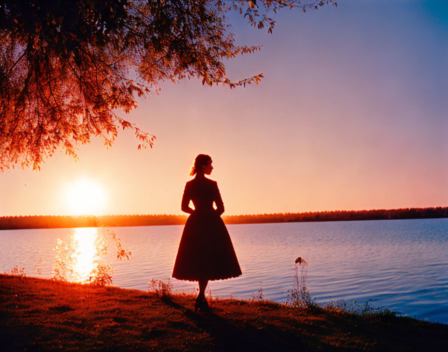 Person standing under tree by lake at sunset with vibrant sky colors.