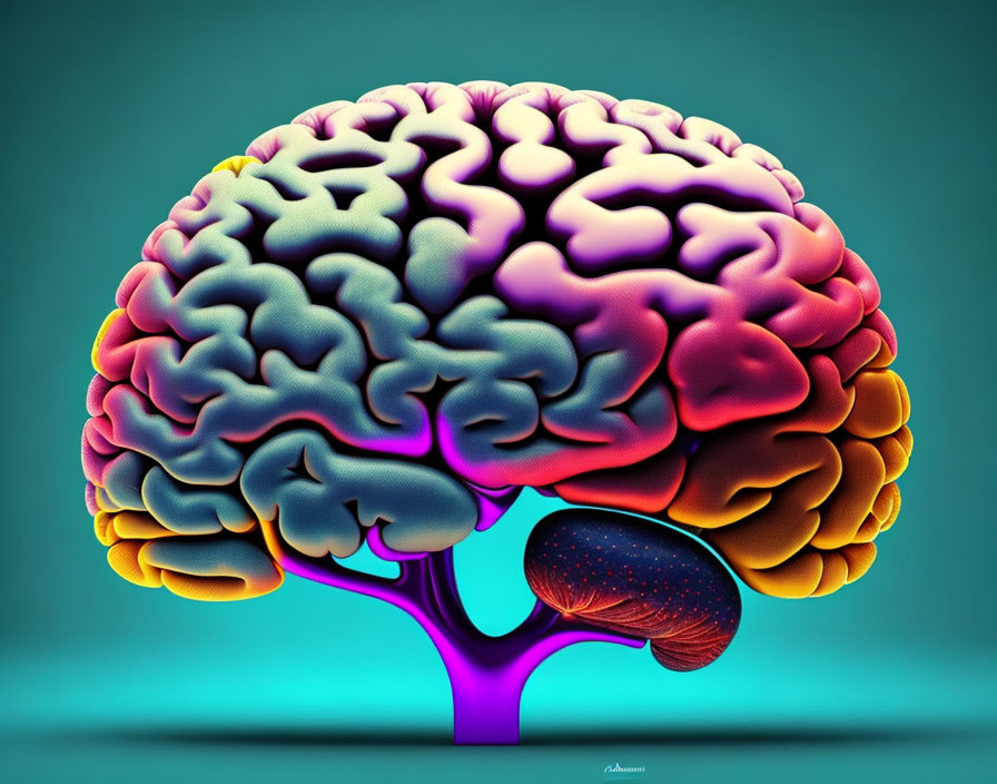 Vibrant human brain illustration in warm and cool colors