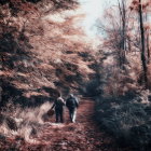 Enchanted forest scene with couple, pink blossomed trees, butterflies, and sunlight.