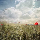 Colorful field painting with tall grass, red and blue wildflowers, and fluffy cloud sky