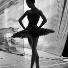 Elegant ballerina in dark tutu on one leg with sheer curtains and flowers - Dreamy