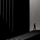 Silhouette of person against vertical lines in high-contrast scene