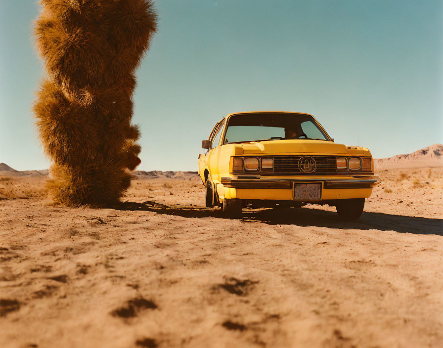 Vintage Yellow Car Parked Under Bush in Desert Landscape