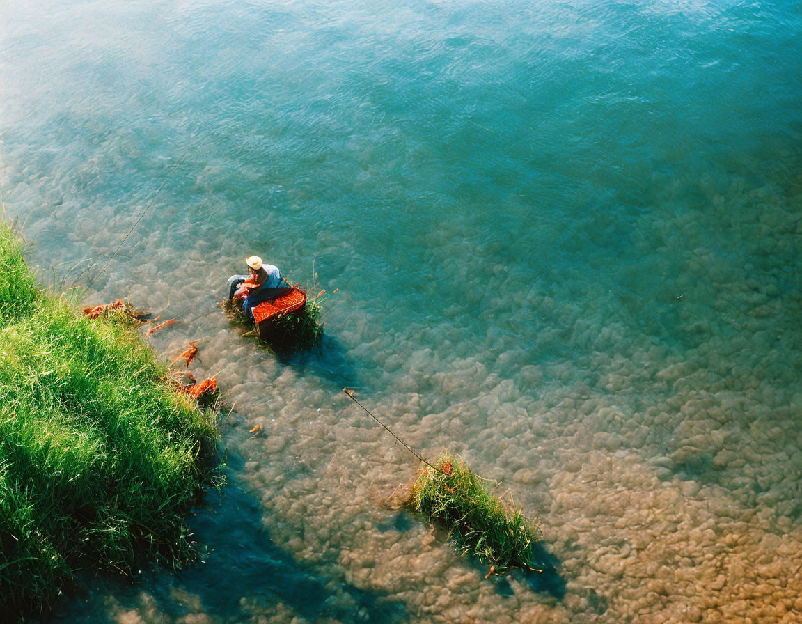 Person fishing by clear blue water and rocky shore with lush green grass.