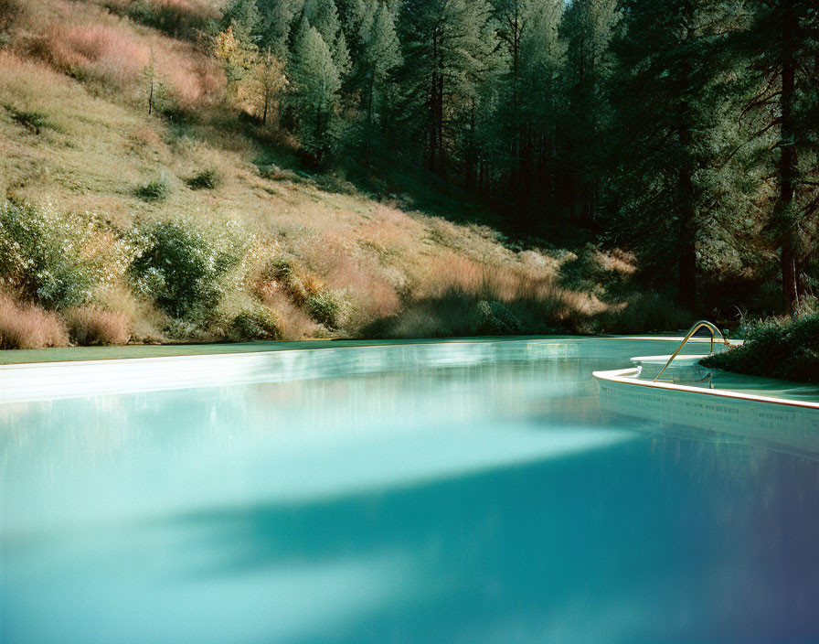 Scenic Outdoor Swimming Pool Surrounded by Nature