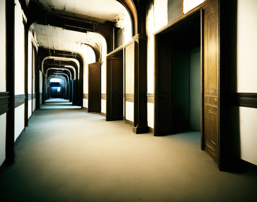 Dimly Lit Corridor with Arched Ceiling and Multiple Doors Leading to Blue Light