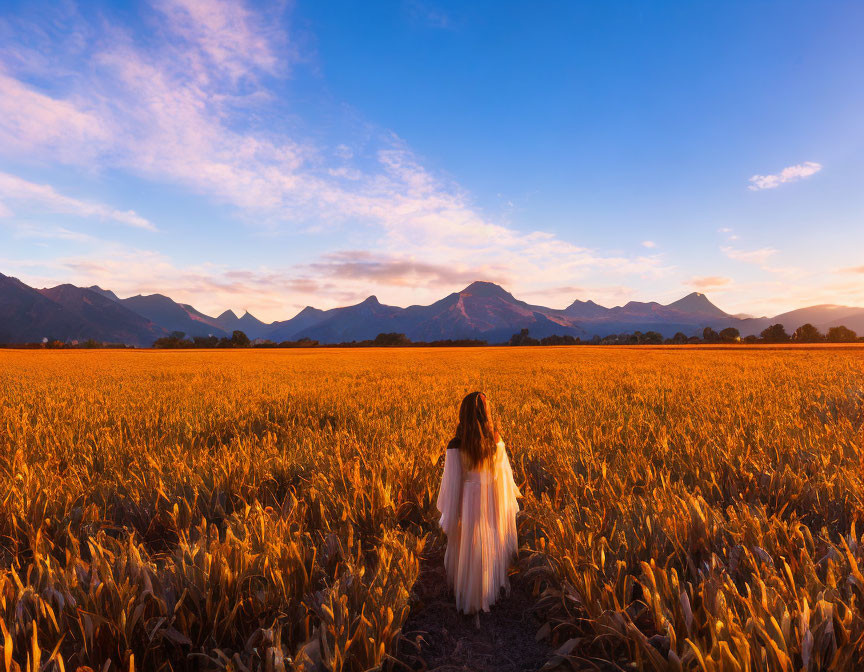 Person in White Dress Standing in Golden Field with Mountains Under Vibrant Sky