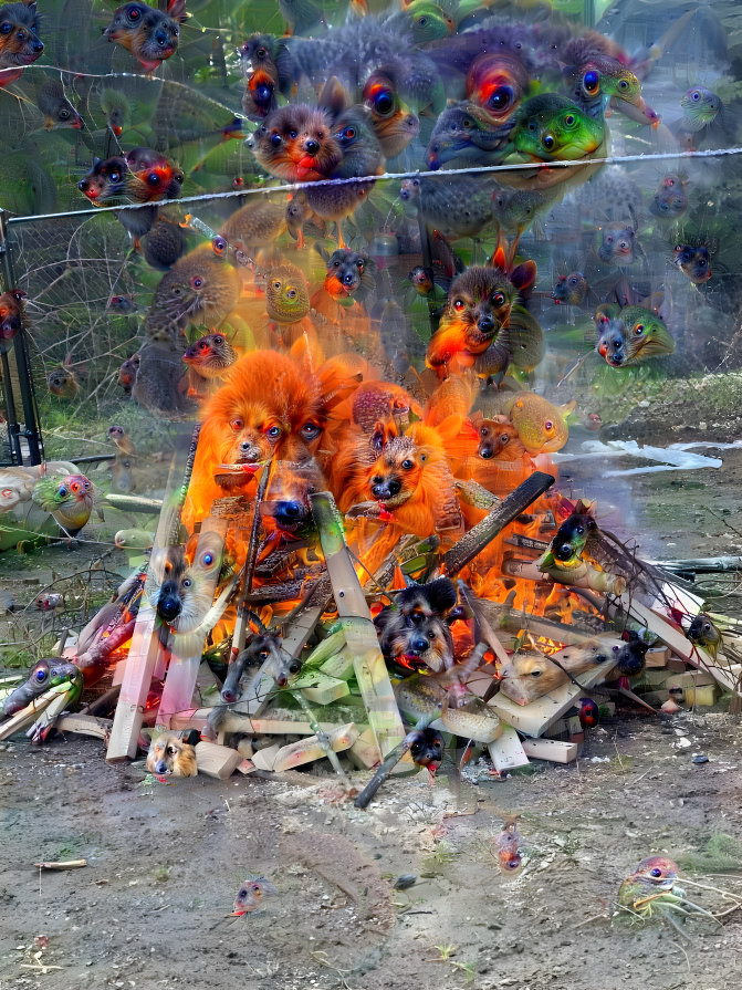 Wood pile on fire