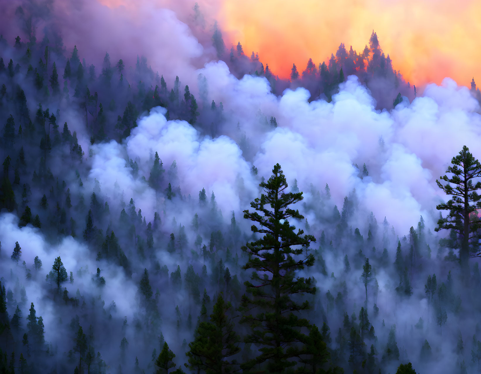 Twilight forest scene with fog and silhouetted pine trees