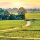 Vibrant rural landscape at sunrise with fields, road, and trees