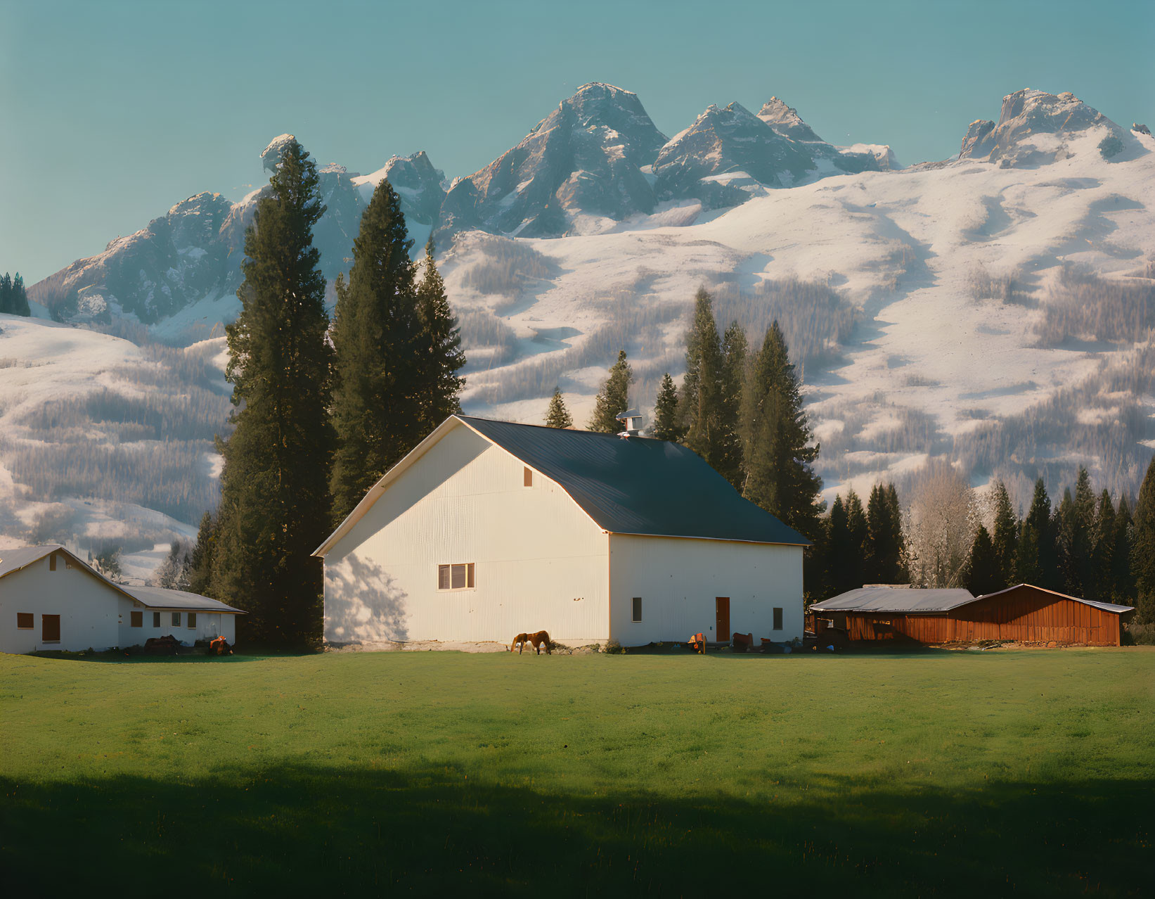 White barn, grazing horse, snow-capped mountains - pastoral scene on green meadow