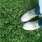 White Lace Shoes on Lush Green Leaves with Blue Garment