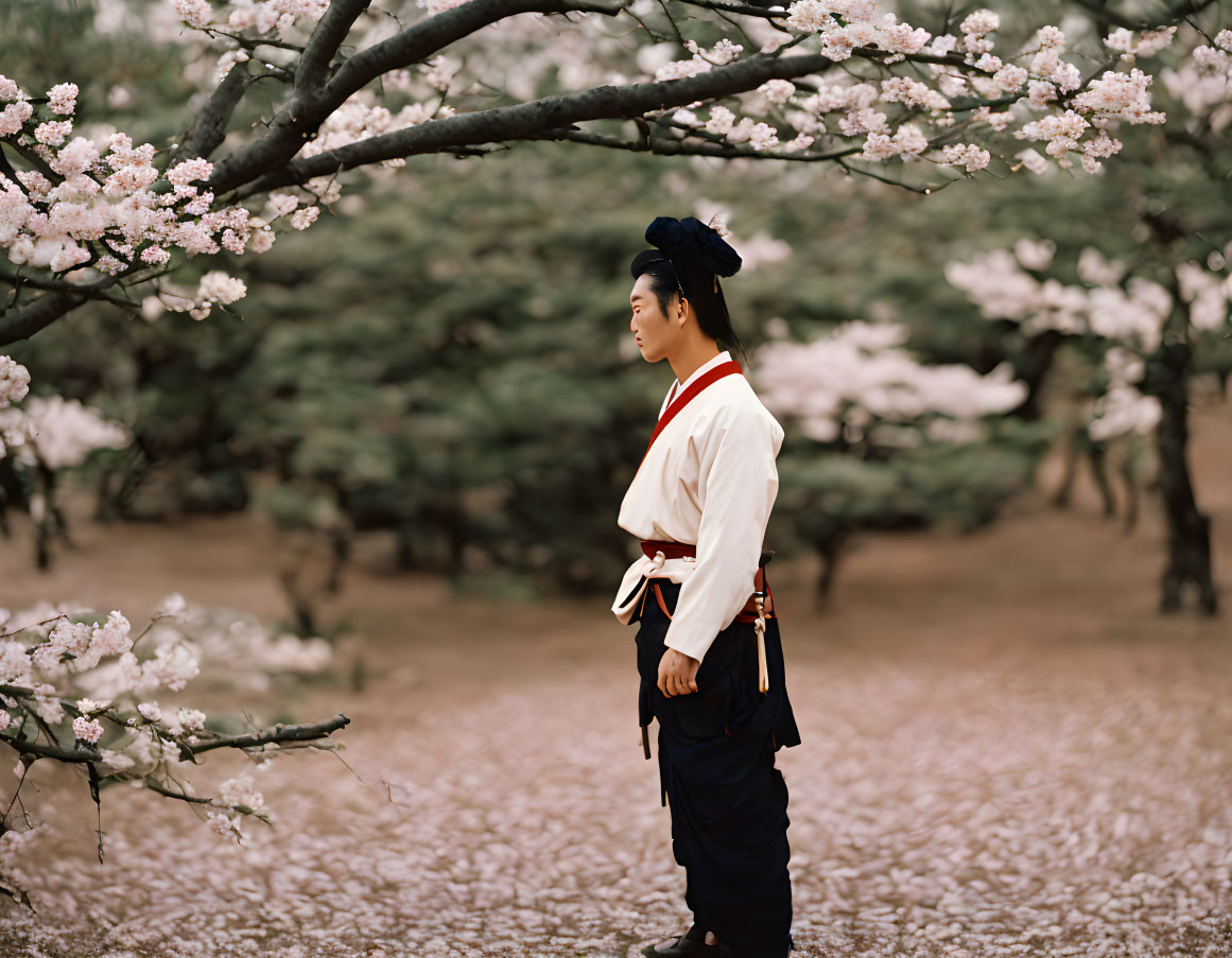 Person in traditional East Asian attire under blooming cherry blossoms