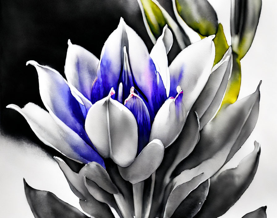 Stylized artwork of blossoming flower with white to deep blue petals on grayscale background