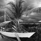 Tranquil beach scene with moored boat, palm trees, and sailing boats under dramatic sky