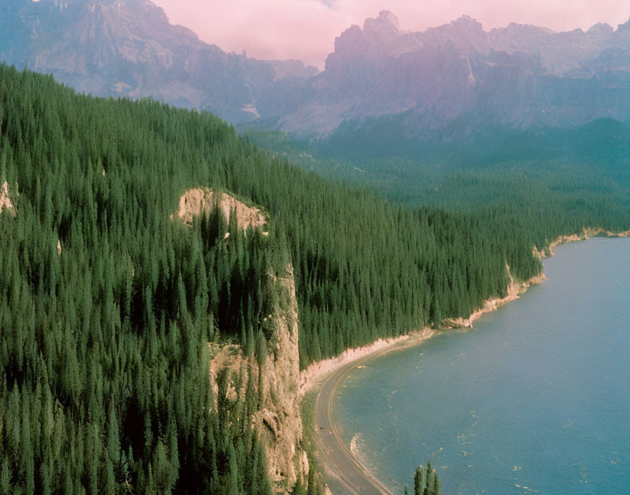 Tranquil Pine Forest by Blue Lake and Mountains