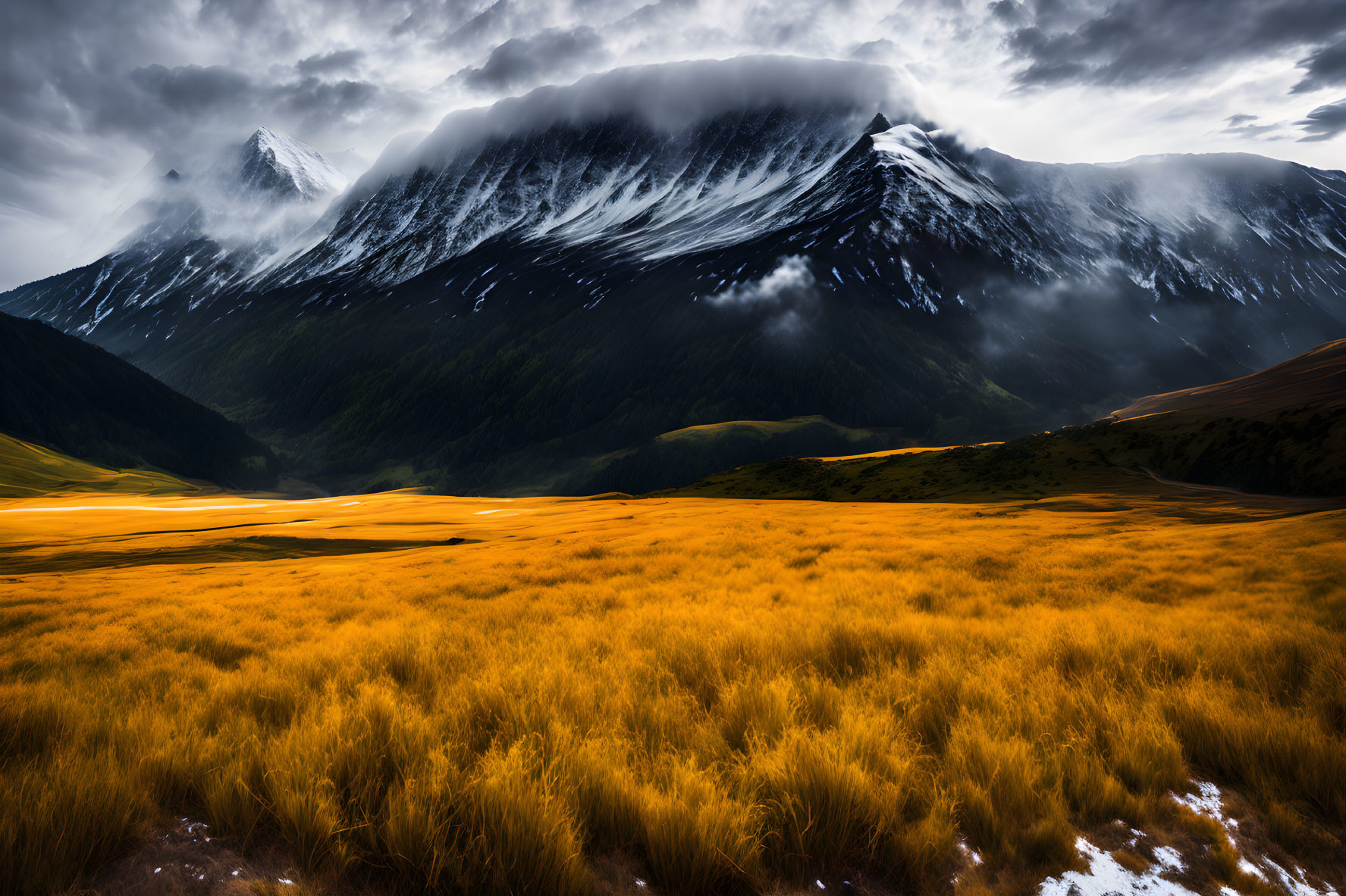 Golden field and stormy sky landscape with towering mountains