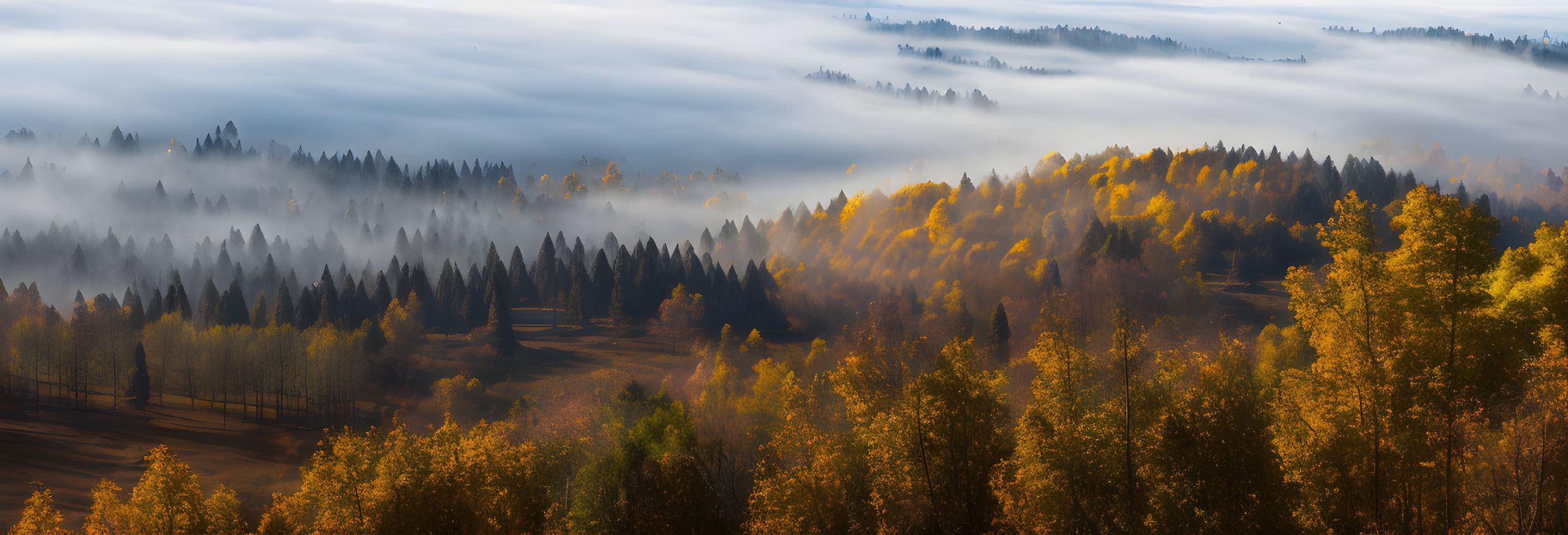 Foggy Autumn Forest with Golden Trees and Hills