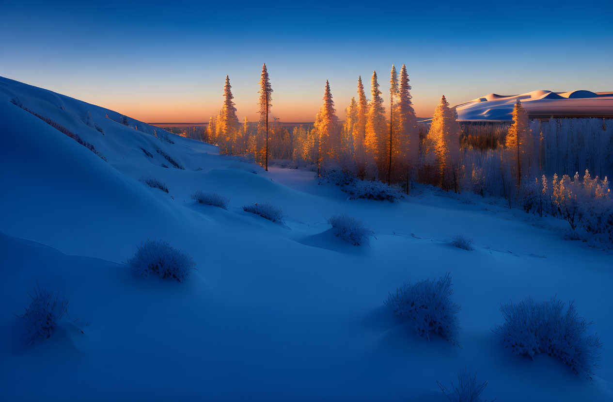 Twilight snow-covered landscape with silhouetted trees