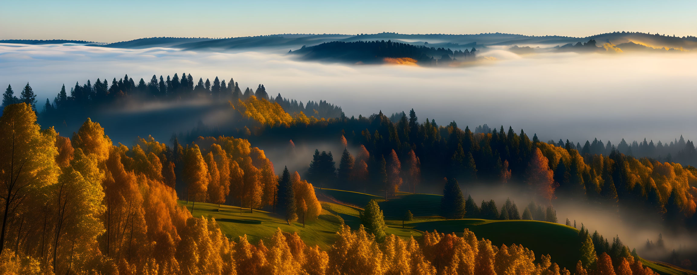 Misty Autumn Sunrise Over Golden-Hued Landscape