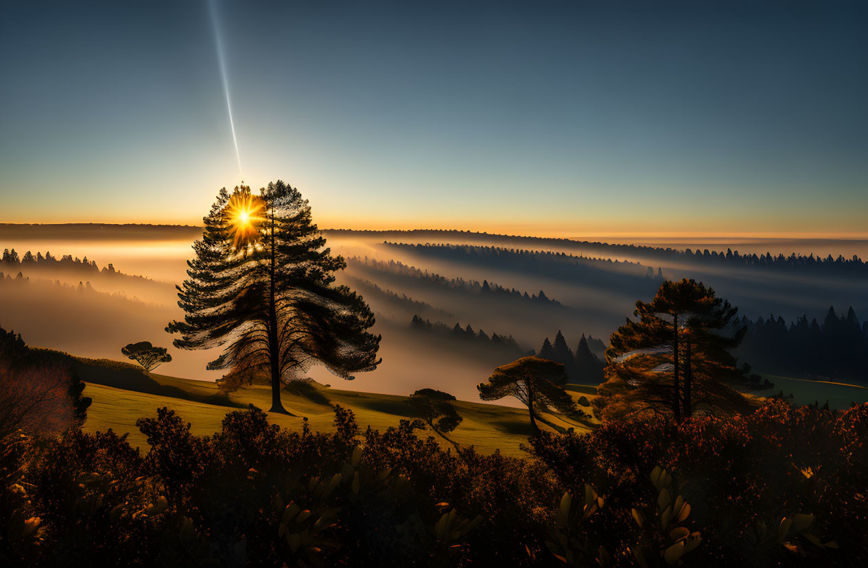 Serene sunrise landscape with mist-covered hills and solitary tree