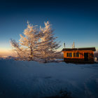 Snowy Twilight Scene: Cozy House, Frosted Trees, Starry Sky