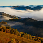 Misty Autumn Sunrise Over Golden-Hued Landscape