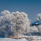 Snowy Winter Landscape with Cabin and Falling Snowflakes