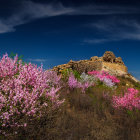 Great Wall of China with Purple Flowers under Blue Sky