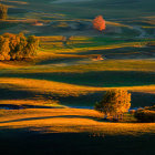 Vibrant autumn landscape: rolling hills, yellow & orange trees, warm sunlight