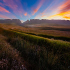 Colorful Wildflowers and Sunset over Mountain Range