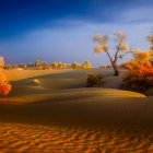 Desert landscape with golden sand dunes and threatening sky