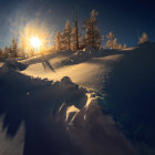 Snowy Sunset Landscape with Pine Trees and Sunburst Effect