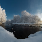 Snow-covered trees by river under twilight sky with stars and crescent moon at sunrise