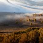 Foggy Autumn Forest with Golden Trees and Hills