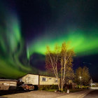 Northern Lights shine over house in forest with twinkling stars